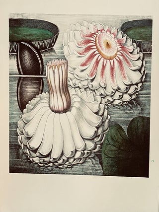 Victoria Regiae